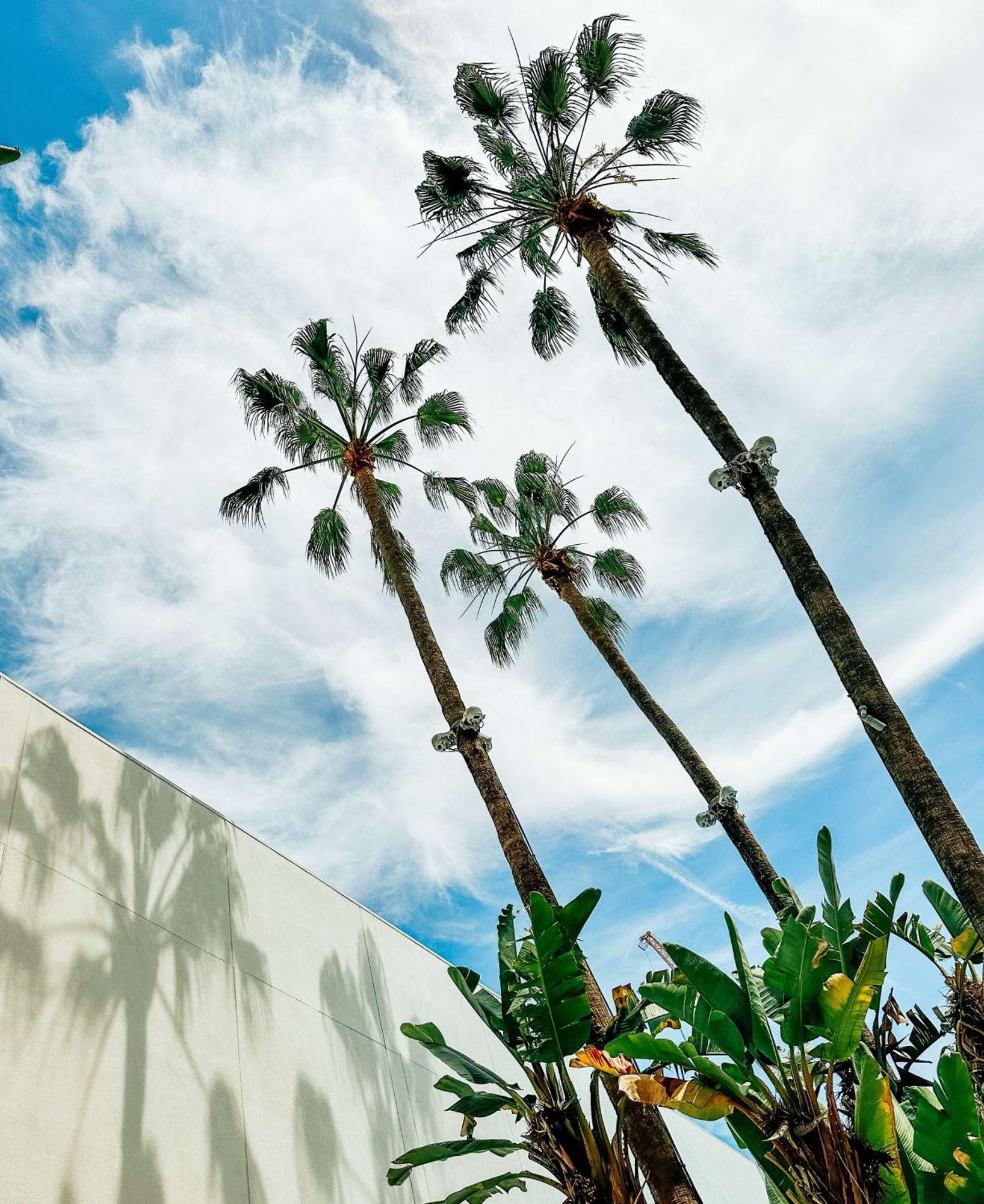 The Beverly Hilton Λος Άντζελες Εξωτερικό φωτογραφία